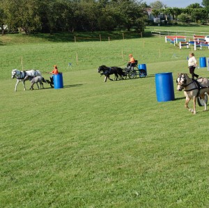 Showfahren Scherz 2013