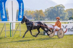 Gesamt-Cupsieger 2018 Trab Kat B