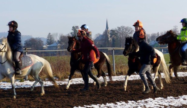 Probetraining Galopper 19.1.19