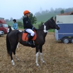 Schwarzenburg-2013-001