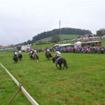 Schwarzenburg-2013-006