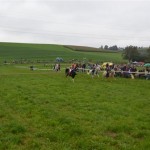 Schwarzenburg-2013-012