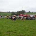 Schwarzenburg-2013-013