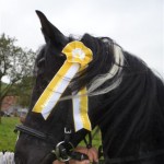 Schwarzenburg-2013-019