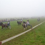 Schwarzenburg-2013-023