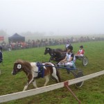 Schwarzenburg-2013-024