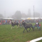 Schwarzenburg-2013-025