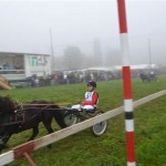 Schwarzenburg-2013-026