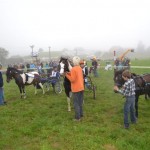 Schwarzenburg-2013-027