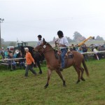 Schwarzenburg-2013-035