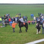 Schwarzenburg-2013-036