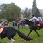 Schwarzenburg-2013-038