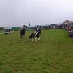 Schwarzenburg-2013-043