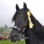 Schwarzenburg-2013-044