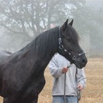 Schwarzenburg-2013-046