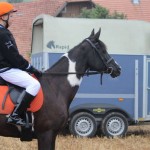 Schwarzenburg-2013-049