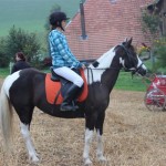 Schwarzenburg-2013-050