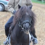 Schwarzenburg-2013-051