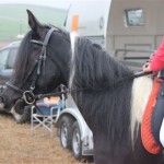 Schwarzenburg-2013-053