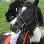 Schwarzenburg-2013-057