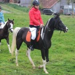 Schwarzenburg-2013-059