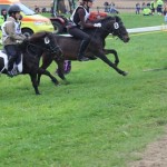 Schwarzenburg-2013-063