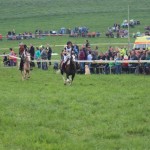 Schwarzenburg-2013-077