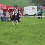 Schwarzenburg-2013-078