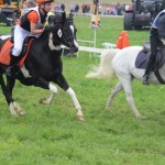 Schwarzenburg-2013-079