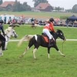 Schwarzenburg-2013-084