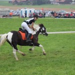 Schwarzenburg-2013-086