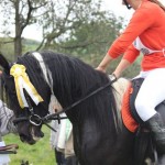 Schwarzenburg-2013-091