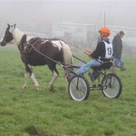 Schwarzenburg-2013-093