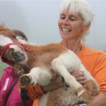 Schwarzenburg-2013-094