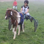 Schwarzenburg-2013-096