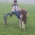 Schwarzenburg-2013-097