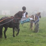 Schwarzenburg-2013-098