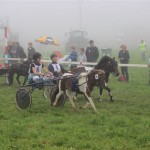 Schwarzenburg-2013-099