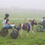 Schwarzenburg-2013-100