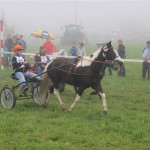 Schwarzenburg-2013-101