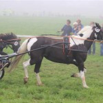 Schwarzenburg-2013-102