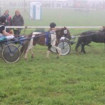 Schwarzenburg-2013-103