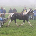 Schwarzenburg-2013-104