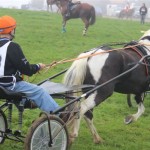 Schwarzenburg-2013-106