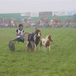 Schwarzenburg-2013-107