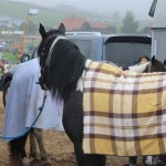 Schwarzenburg-2013-112