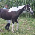 Schwarzenburg-2013-118