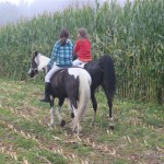 Schwarzenburg-2013-124