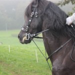 Schwarzenburg-2013-125