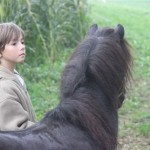 Schwarzenburg-2013-126